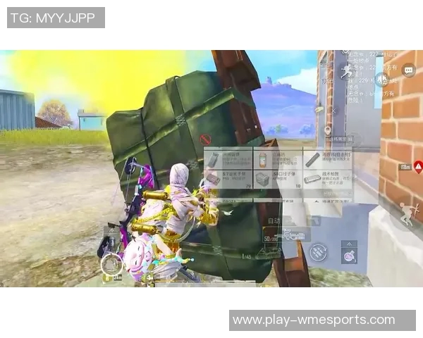 和平精英V5力量争议引发玩家热议与游戏平衡性讨论 和平精英V5力量争议引发玩家热议与游戏平衡性讨论