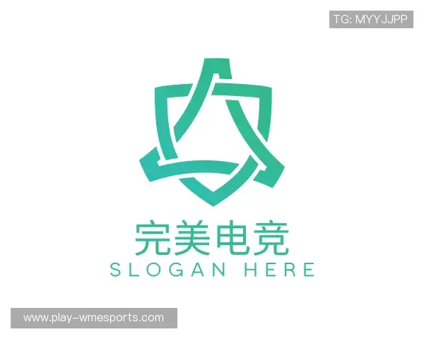 解读完美电竞官网